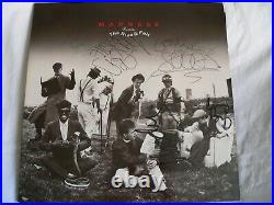 MADNESS THE RISE & FALL Autograph signed Vinyl LP Cover MINT Record UK Album