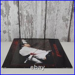 Ryan Adams Rock N Roll Vinyl LP Record Album 2003 Murder Blood Cover 1st Press