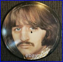 The Beatles White Album Picture Disc Vinyl 2 Disc
